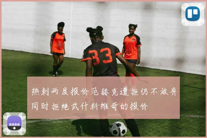 热刺两度报价范赫克遭拒仍不放弃同时拒绝武什科维奇的报价