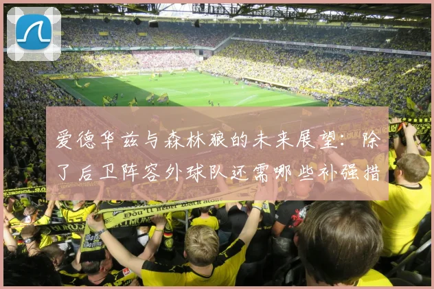 爱德华兹与森林狼的未来展望：除了后卫阵容外球队还需哪些补强措施