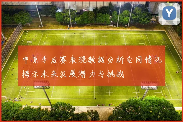 申京季后赛表现数据分析合同情况揭示未来发展潜力与挑战